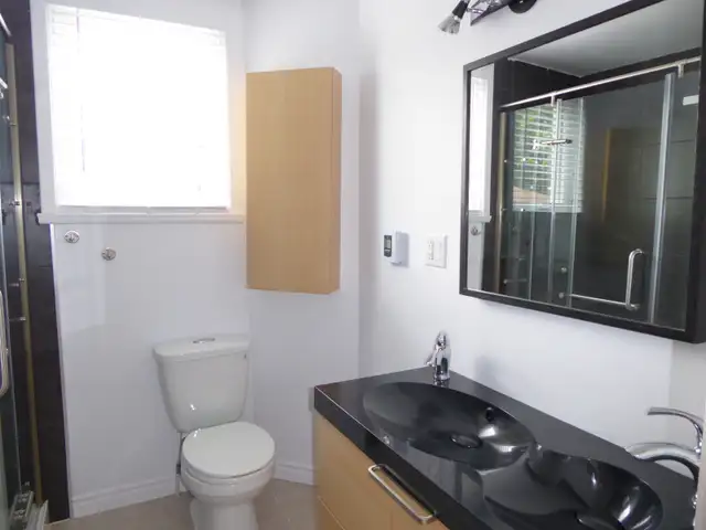 Logement 3 1/2 lumineux à deux pas du vieux Lévis in Long Term Rentals in Lévis - Image 10