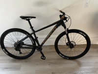 2019 Norco Charger 2.  Medium Size 