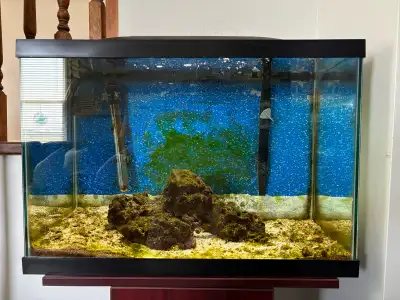 20 Gallon Saltwater Aquarium, View more