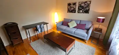 A louer 3 1/2 meublé + jardin - Juillet