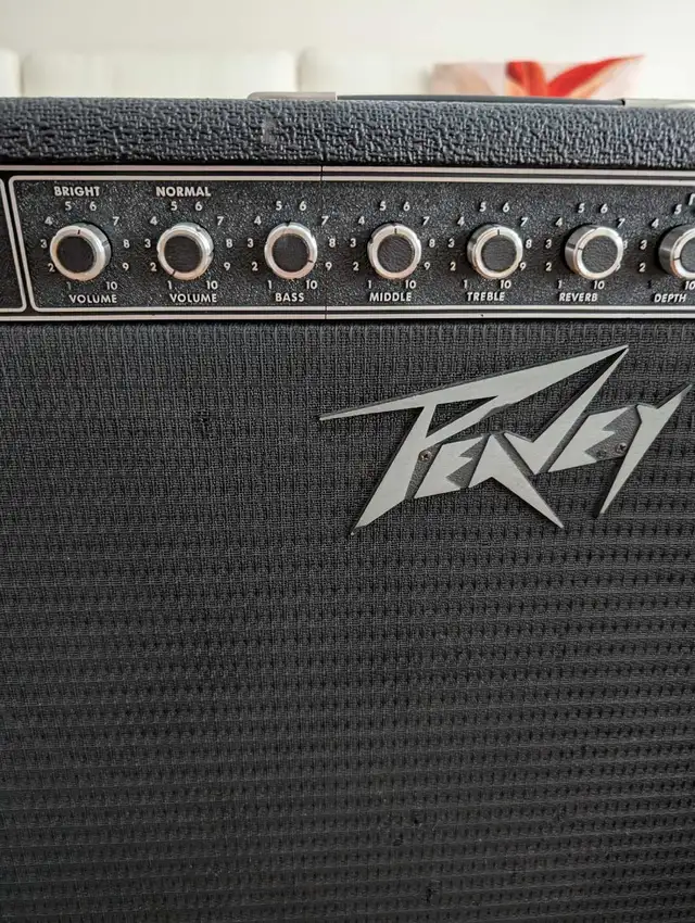 Peavey Classic Guitar Amplifier in Amps & Pedals in Mississauga / Peel Region - Image 4