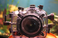 Ikelite 200' Dive Housing, and Canon T2I DSLR