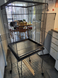 Belle cage à perroquet