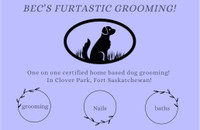 Certified Dog Grooming