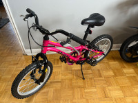 Raleigh Vibe Kids' Bike, 16-in, Pink