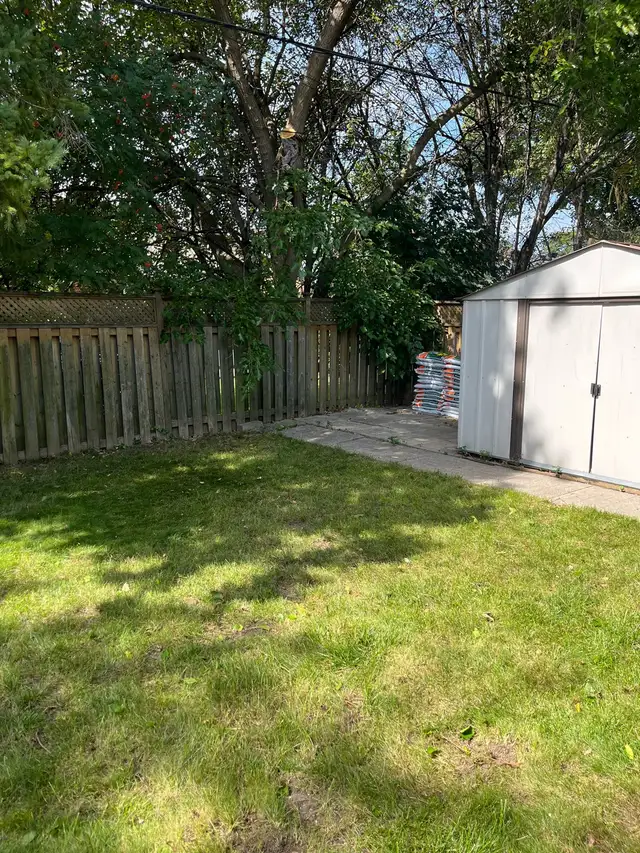 Tree Removal | Pruning | Fully Insured | (416) 206-1460 in Lawn, Tree Maintenance & Eavestrough in City of Toronto - Image 11