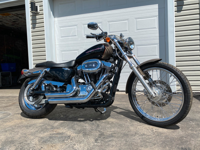 2005 Harley Davidson Xl 1200 Sportster  in Street, Cruisers & Choppers in Barrie - Image 2