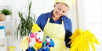 PROFESSIONAL EUROPEAN CLEANING SERVICES