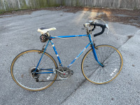 Raleigh Race Bike + Cable lock