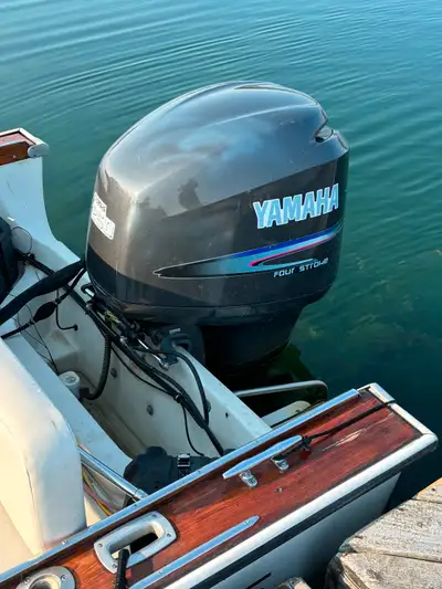 Boston Whaler Revenge, View more