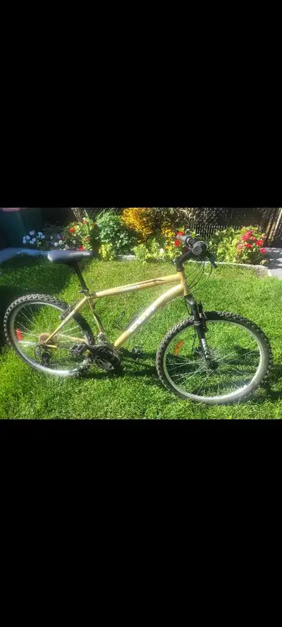 Vélo 26 pouces pour adulte, View more