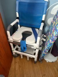 Bathtub /commode transfer chair