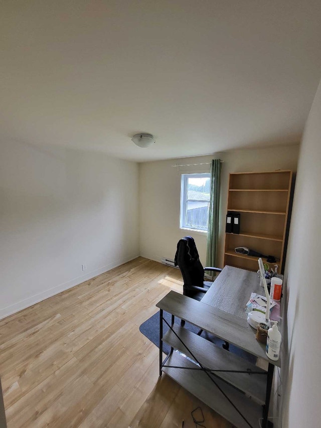 4b Rue Papineau — photo 1