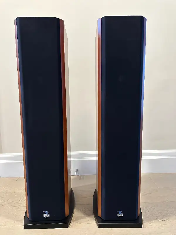 Speaker in Speakers in Markham / York Region - Image 2