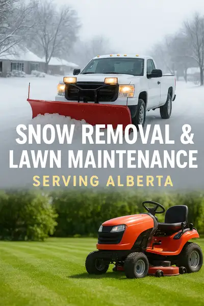 snow removal/ lawn services, View more