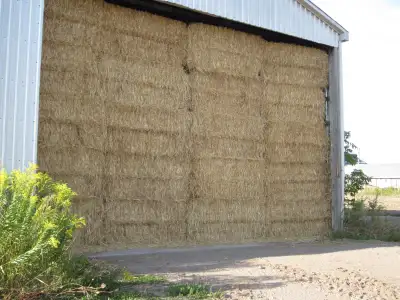 Wheat Straw for sale, View more