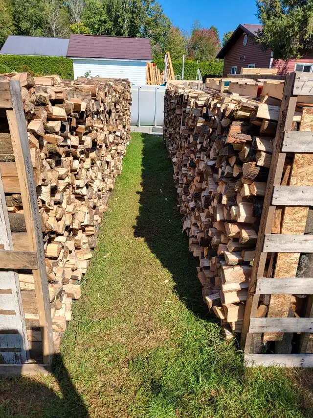 GREAT DRY CAMPING FIREWOOD. 62863279739395124