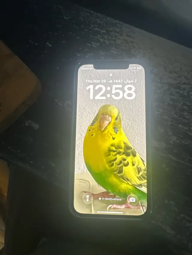 iphone 12 pro410021167702353920