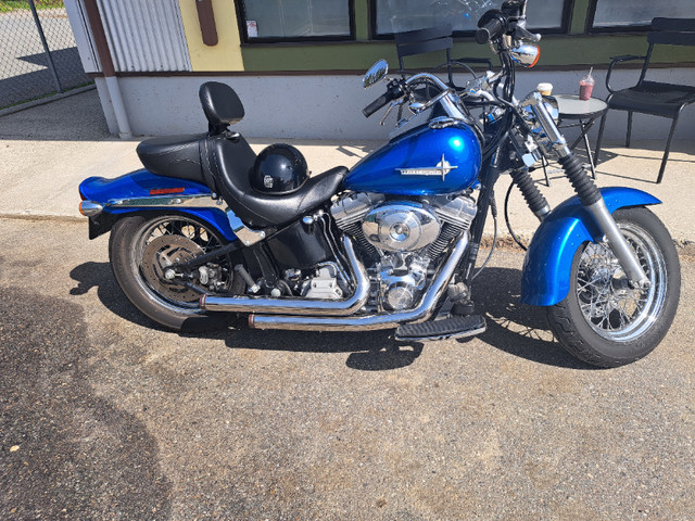 2004harley softail 1450ccs 36kms 604-724-7367  $8000 in Street, Cruisers & Choppers in Hope / Kent - Image 3