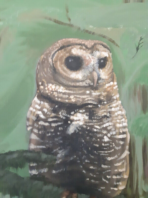 FIRST $80.00 TAKES IT ~ Original Painting Of Owl by Artist ~ in Arts & Collectibles in St. Catharines - Image 2