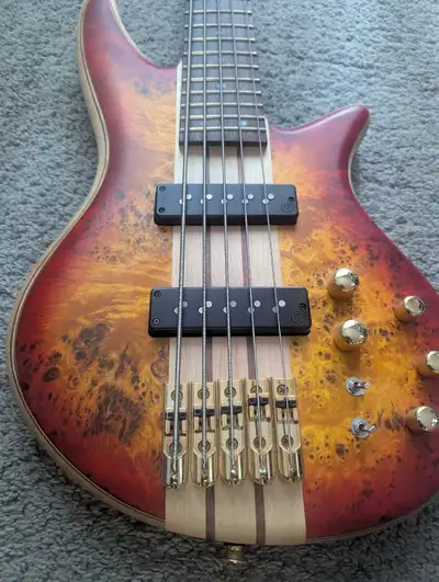 Beautiful Jackson Spectra Pro 5 string bass *Almost new!, View more