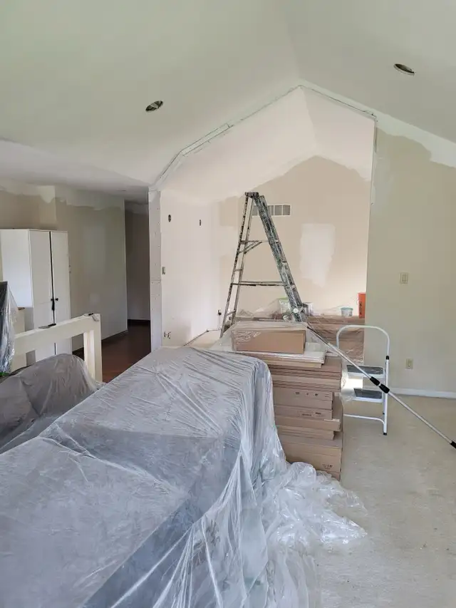 Painter/ Handyman available 457408451487344644