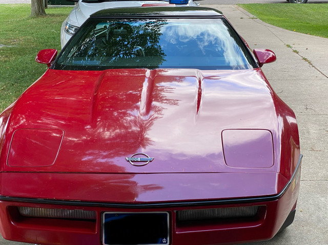 1985 Corvette red in Cars & Trucks in Hamilton - Image 2