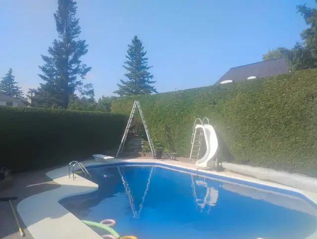 Professional hedge trimming and tree services62864358323073121
