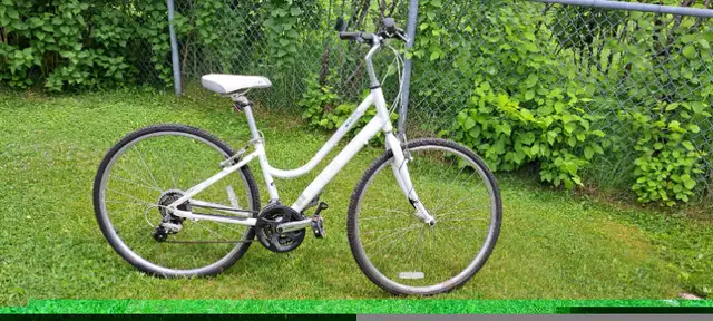 Vélo de route in Road in Lévis - Image 3
