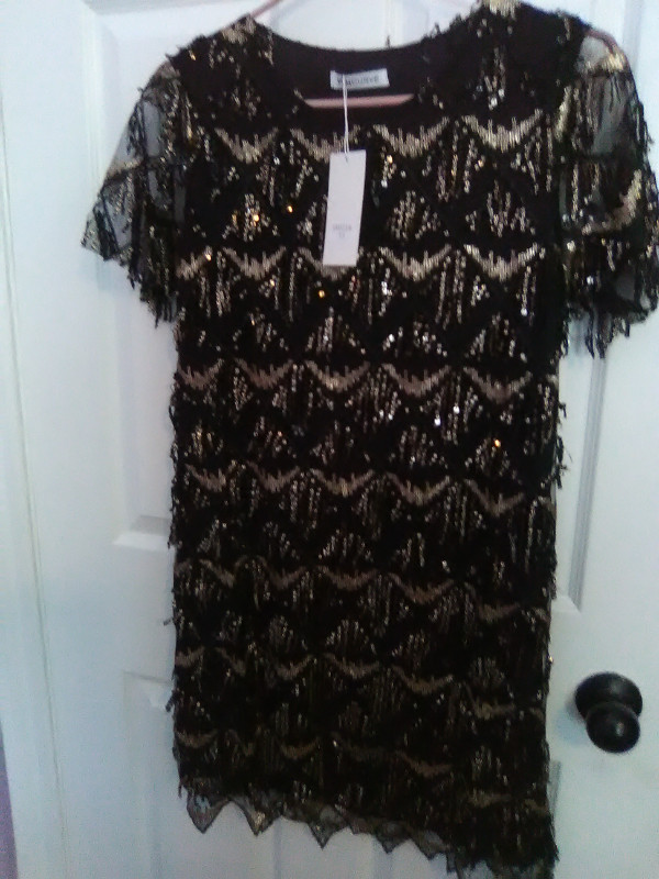 BEAUTIFUL DRESS...BRAND NEW NEVER WORN in Women's - Dresses & Skirts in Barrie - Image 3