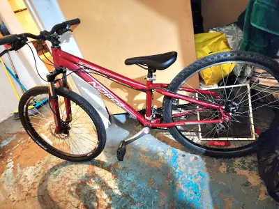 24" tires 21 speed Disk brakes Back rim need the ring for it Txt 780-224-4062