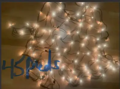 Lumières de Noël 45 pieds de long Venir chercher à pointe aux trembles