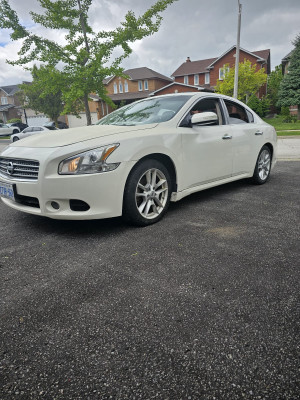 2010 Nissan Maxima SV