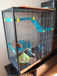 Grande cage à rats