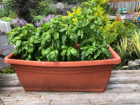 Planter container for herbs or vegetables