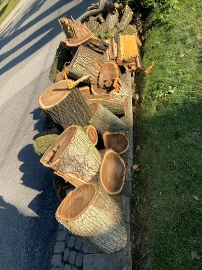free hardwood firewood nicely cut. tons of wood. c pics, View more
