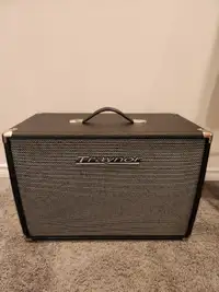 Traynor guitar amp extension cabinet