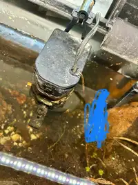 Aquarium équipement plus poisson 