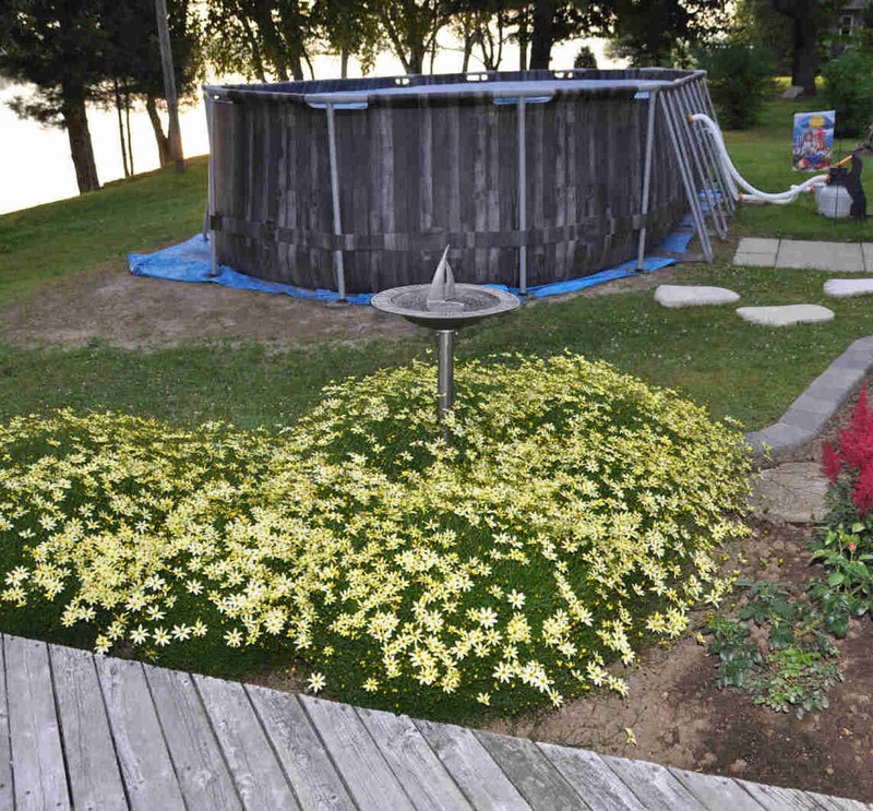 Above ground pool Hot Tubs & Pools Fredericton Kijiji