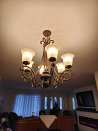 luminaires assorties