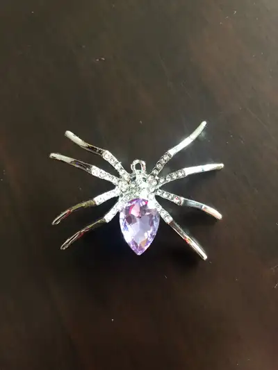Spider Brooch/pendant $10 firm, View more