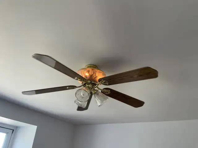 Ceiling fan in Indoor Lighting & Fans in Belleville - Image 4