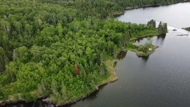 Parcel D.182 - Over 3500' of shoreline and 38 Acres of land! in Land for Sale in Kenora