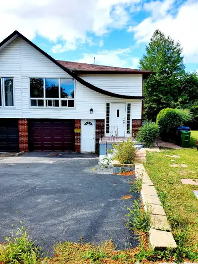 Room available for male, 1 bedroom in nice quaint walkout apartment completely above the ground with...