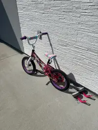 Skye toddler bike 