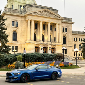 2017 Shelby Cobra Gt350R