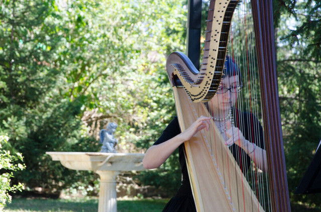 Professional Harpist Available for Weddings and Special Events in Wedding in Oshawa / Durham Region - Image 2