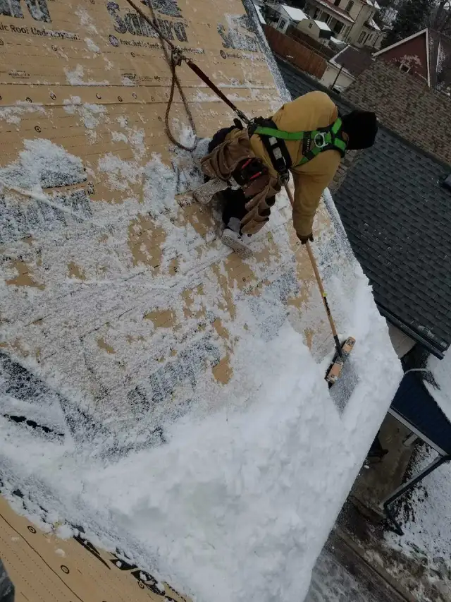 LOOKING FOR ROOFERS523497422760202241