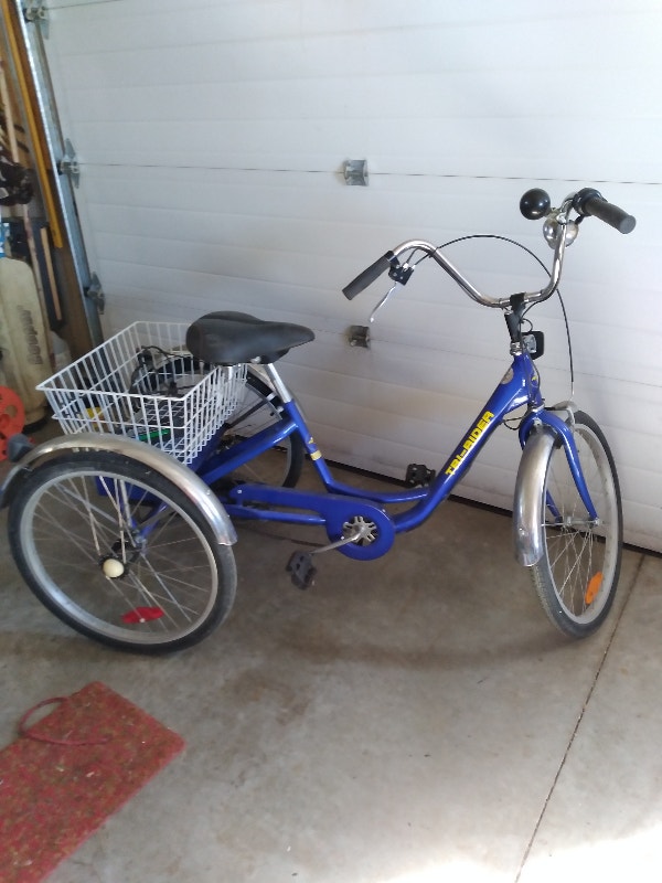 royalbaby stargirl bike 16