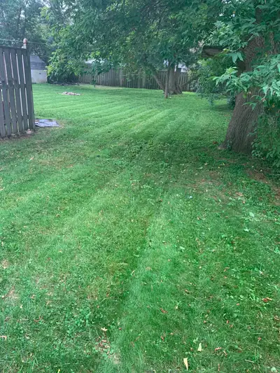 Grass Cutting – Newmarket, Aurora, & EG, View more